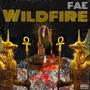 WILDFIRE (Explicit)