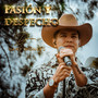 Pasion y Despecho (Live Session)