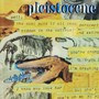 Pleistocene