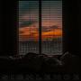 SIGHlence