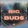 BIG EXOT!C BUDS (Explicit)