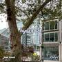 Hyde Park (feat. Helynt)