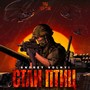 Стаи птиц