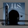 Y.N.S. (Explicit)