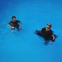Pool Rules (Explicit)