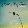 Birds Of A Feather (Acoustic 2025)