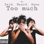 Said Heard Seen Too much (Explicit)