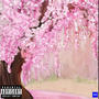 SAKURA (Explicit)