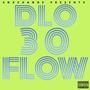 30 FLOW (Explicit)