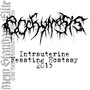 Intrauterine Feasting Ecstasy Promo 2015 (Explicit)