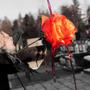 heart poured over (Explicit)