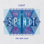 You Are the Spirit (Spirit Remix Album)