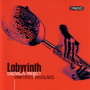 Labyrinth - Daedalus Project