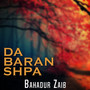 Da Baran Shpa