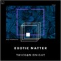 Exotic Matter