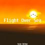Flight Over Sea