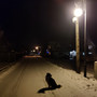 Z zaśnieżonych wzgórz (Explicit)