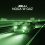 Noga w gaz