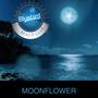 Moonflower