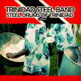 Steel Drums of Trinidad