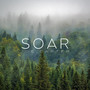 Soar