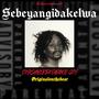 Sebeyangidakelwa (feat. Rapink, JayLord & Sadboii Gem) [Explicit]