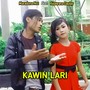 Kawin Lari