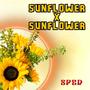 Sunflower X Sunflower (Sped Mashup)