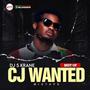 Best Of CJ Wanted (feat. DJ S Krane)