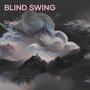 Blind Swing