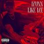 Like Me (Explicit)