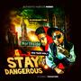 Stay Dangerous Mixtape Vol.1 (Explicit)