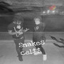 Snakes (Explicit)