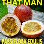 Passiflora Edulis