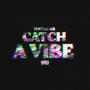 Catch A Vibe (Explicit)