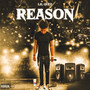 Reasons (Explicit)