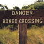 Danger Bongo Crossing