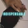 Indispensable