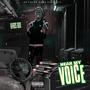 Hear My Voice (Explicit)