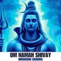 Om Namah Shivay