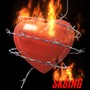 Sk8ing (Explicit)