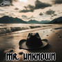 Mr. Unknown