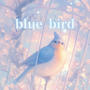 blue bird