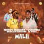 Malii (feat. Dobgima, Mr Black Handsome & 35 Digriz)