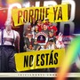 Porque Ya No Estás