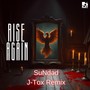 Rise Again (J-Tox Remix)