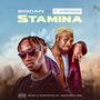 STAMINA (feat. T Krown) [Explicit]