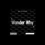 Wonder Why (Explicit)