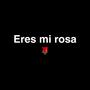 Eres Mi Rosa (Explicit)