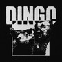 dingo